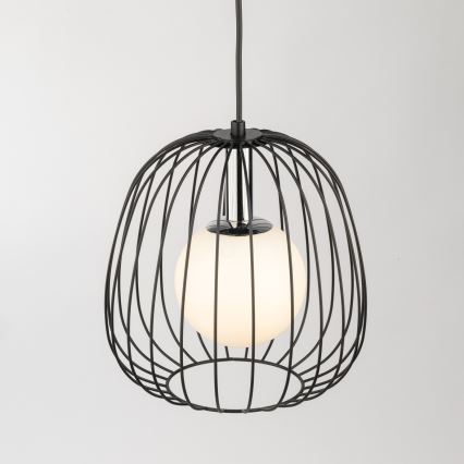 Pakabinamas sietynas BELL 1xG9/12W/230V diametras 24 cm juoda/blizgus chromas