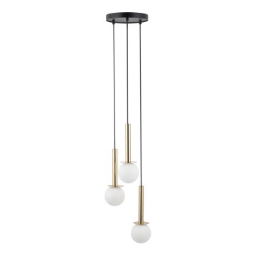 Pakabinamas sietynas DAISY 3xG9/12W/230V diametras 27 cm auksas/juoda/balta
