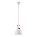 Pakabinamas sietynas DANIELLE 1xE27/60W/230V - FSC sertifikuota