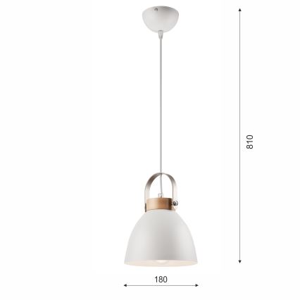 Pakabinamas sietynas DANIELLE 1xE27/60W/230V bukas
