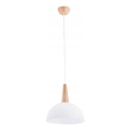 Pakabinamas sietynas FOTYN 1xE27/15W/230V ruda