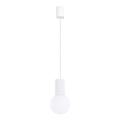 Pakabinamas sietynas HALO 1xG9/8W/230V diametras 12 cm balta
