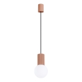 Pakabinamas sietynas HALO 1xG9/8W/230V diametras 12 cm ruda