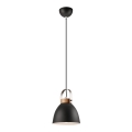 Pakabinamas šviestuvas ant laido DANIELLE 1xE27/60W/230V ąžuolas