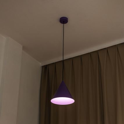 Pakabinamas šviestuvas ant laido ETNA II, 1xE27/15W/230V, skersmuo 25 cm, violetinė