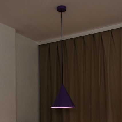 Pakabinamas šviestuvas ant laido ETNA II, 1xE27/15W/230V, skersmuo 25 cm, violetinė