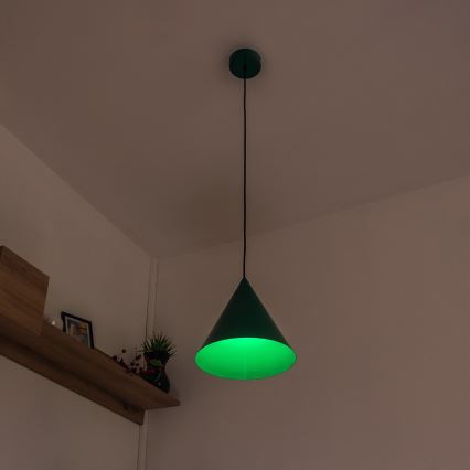 Pakabinamas šviestuvas ant laido ETNA II 1xE27/15W/230V skersmuo 25 cm žalias