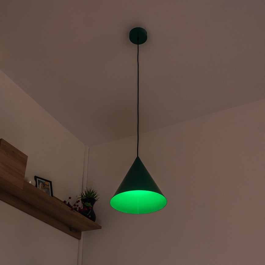 Pakabinamas šviestuvas ant laido ETNA II 1xE27/15W/230V skersmuo 25 cm žalias