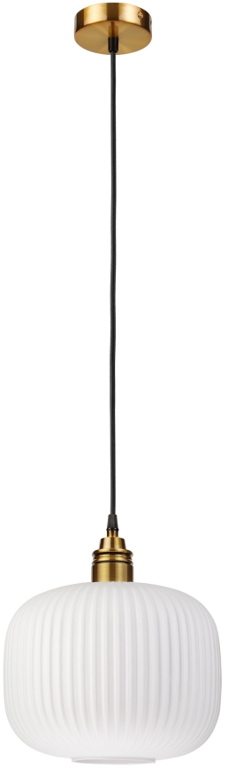 Pakabinamas šviestuvas ant laido HECTOR 1xE27/15W/230V skersmuo 25 cm