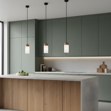 Pakabinamas šviestuvas ant laido MARKUS 1xE27/15W/230V juodas/ąžuolas