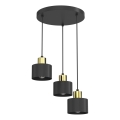 Pakabinamas šviestuvas ant troselio PARKLA, 3 x E27, 15 W, 230 V, juodas