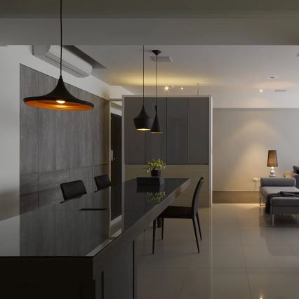 Pakabinamas šviestuvas MODERN E27/60W juoda
