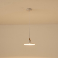 Pakabinamas šviestuvas su laidu CHROMA 1xG9/15W/230V baltas