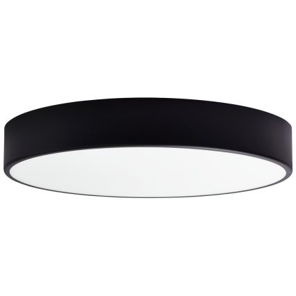 Pakaitinis stiklas lubiniam šviestuvui CLEO 50 cm stiklas