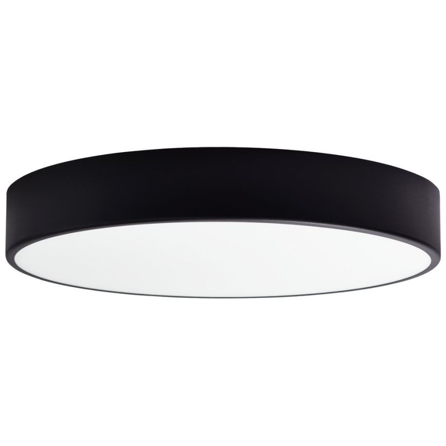 Pakeitimo stiklas lubiniam šviestuvui CLEO 50 cm stiklas