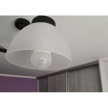 Pakaitinis gaubtas šviestuvui su E27 jungtimi, Ø 18 cm, pieninis (matinis) stiklas