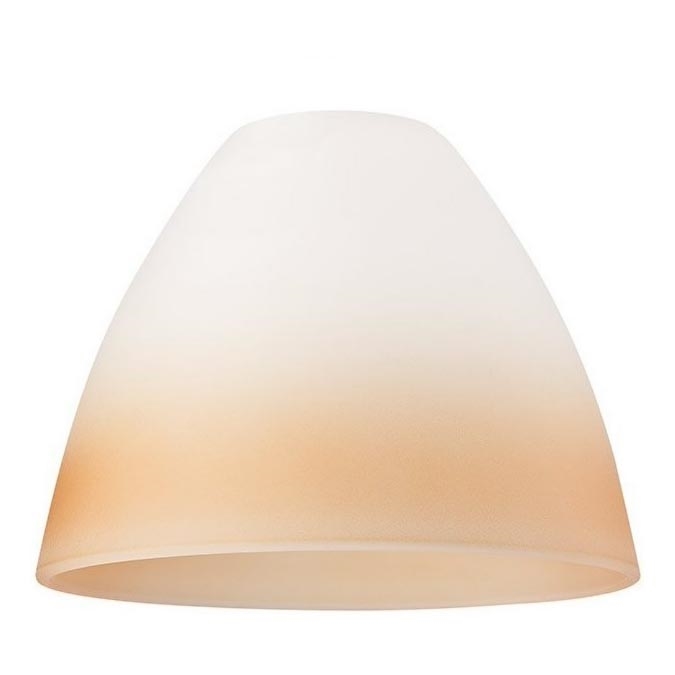 Pakeitimo stiklas šviestuvui ir sieniniam šviestuvui TULIPAN E27 100x130 mm oranžinės spalvos