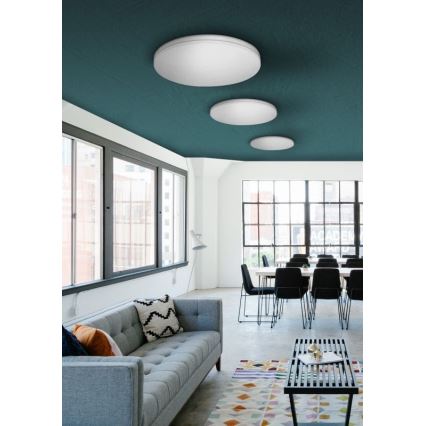 LED lubinis šviestuvas MONY LED/26W/230V 3000K