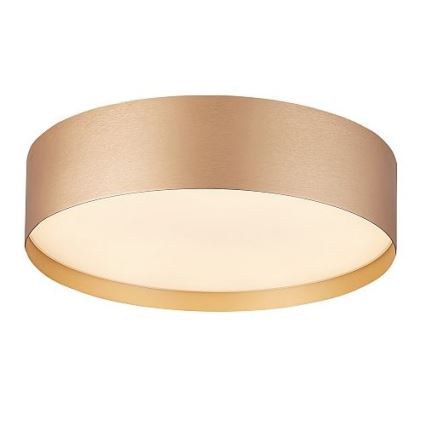 LED lubinis šviestuvas SOFIE LED/50W/230V