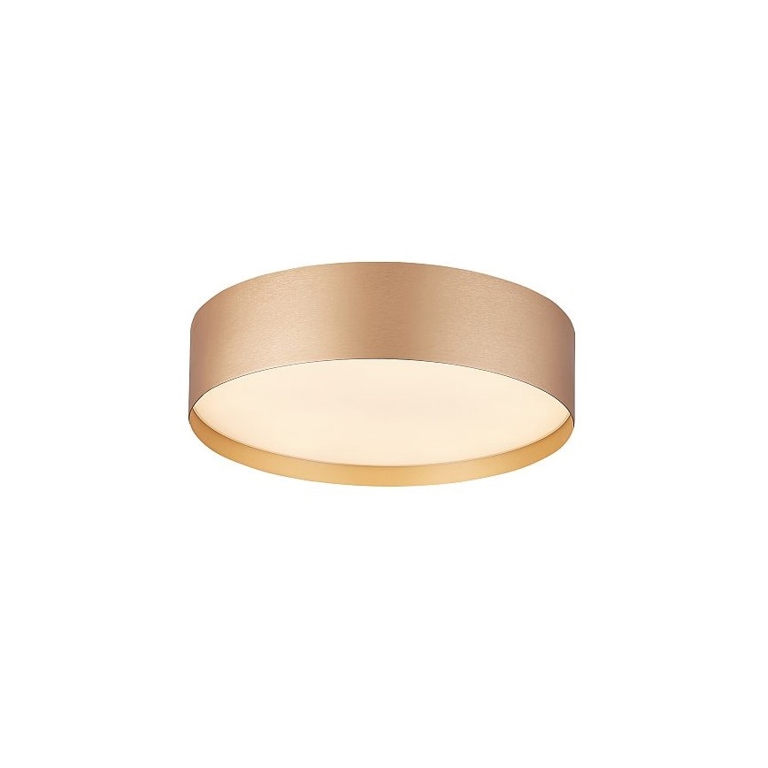 LED lubinis šviestuvas SOFIE LED/50W/230V