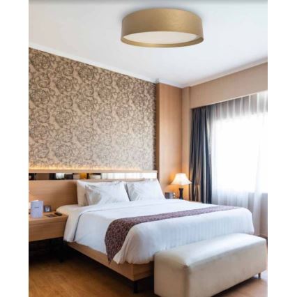 LED lubinis šviestuvas SOFIE LED/50W/230V