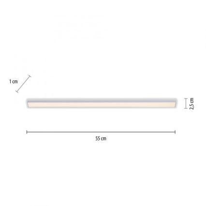 Paul Neuhaus 1125-21-A - LED prailginimas po virtuvės spintele šviestuvui AMON LED/6W/12/230V