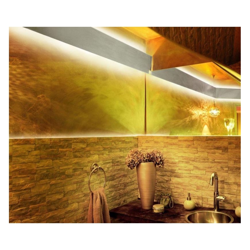 Paul Neuhaus 1205-70 - LED RGB Reguliuojama juosta TEANIA 10m LED/30W/12/230V + valdymo pultas
