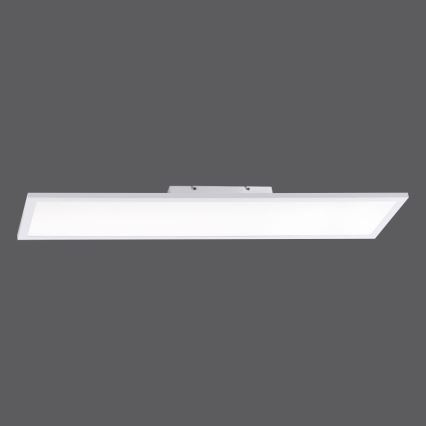 Paul Neuhaus 16533-16-O - LED Reguliuojamas ant pagrindo montuojamas skydelis FLAT LED/24W/230V 2700-5000K baltas + valdymo pultas