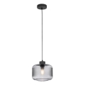 Paul Neuhaus 2005-25 - Pakabinamas sietynas BOLETUS 1xE27/10W/230V diametras 23,5 cm pilka