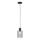 Paul Neuhaus 2006-25 - Pakabinamas sietynas BOLETUS 1xE27/10W/230V diametras 14 cm pilka