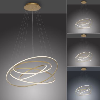 Paul Neuhaus 2124-60 - LED Reguliuojamas pakabinamas sietynas TESSARA LED/97W/230V 2700-5000K + nuotolinio valdymo pultas