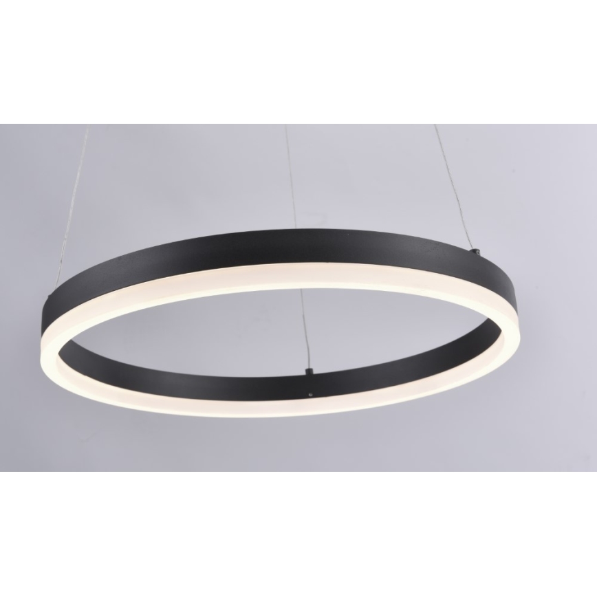 Paul Neuhaus 2381-13 - LED Reguliuojamas pakabinamas sietynas TITUS LED/28W/230V