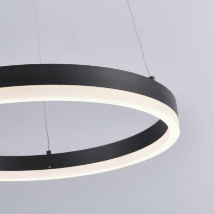 Paul Neuhaus 2381-13 - LED Reguliuojamas pakabinamas sietynas TITUS LED/28W/230V