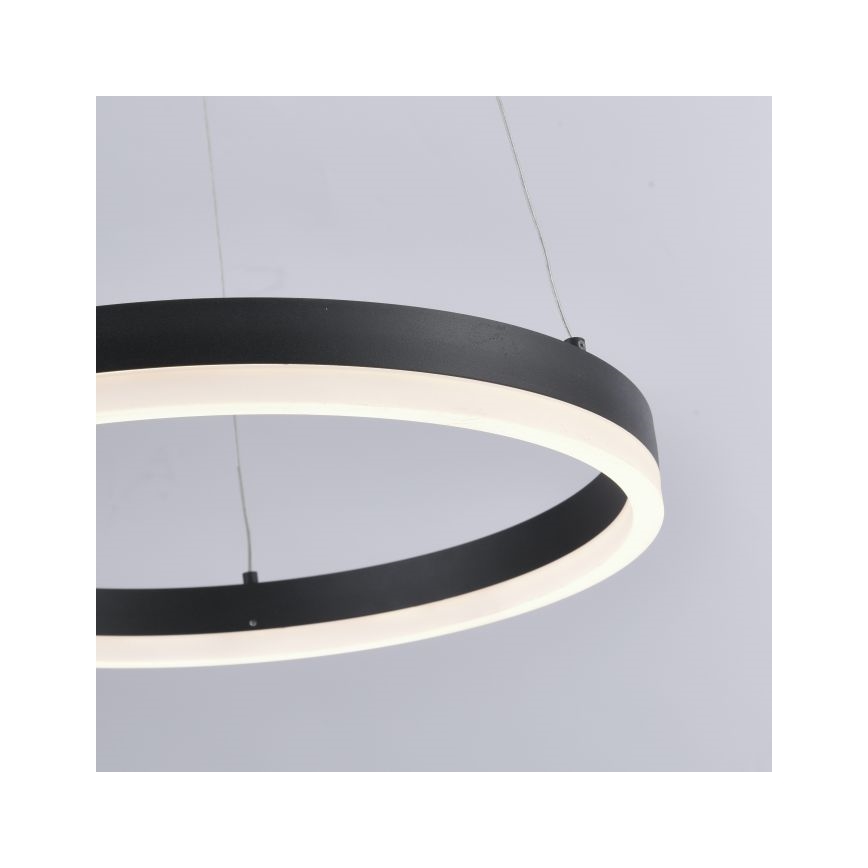 Paul Neuhaus 2381-13 - LED Reguliuojamas pakabinamas sietynas TITUS LED/28W/230V