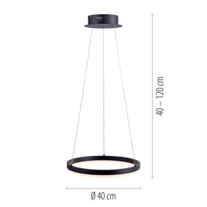 Paul Neuhaus 2381-13 - LED Reguliuojamas pakabinamas sietynas TITUS LED/28W/230V