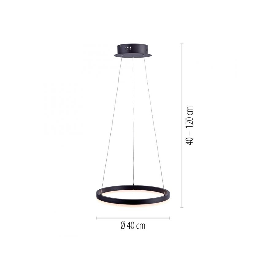 Paul Neuhaus 2381-13 - LED Reguliuojamas pakabinamas sietynas TITUS LED/28W/230V