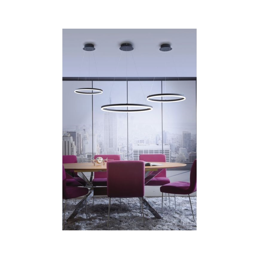 Paul Neuhaus 2382-13 - LED Reguliuojamas pakabinamas sietynas TITUS LED/38,5W/230V