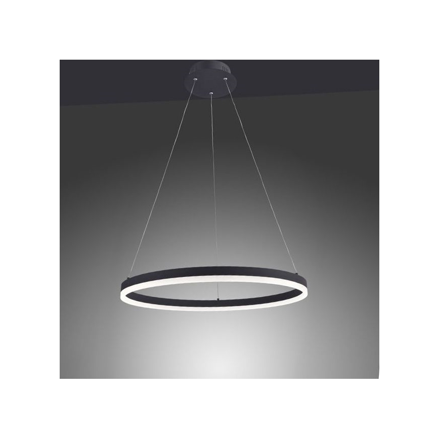 Paul Neuhaus 2382-13 - LED Reguliuojamas pakabinamas sietynas TITUS LED/38,5W/230V