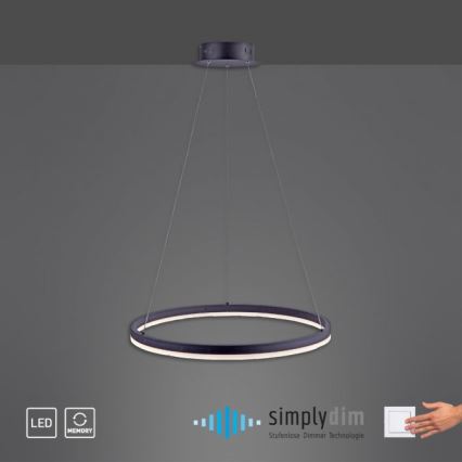 Paul Neuhaus 2382-13 - LED Reguliuojamas pakabinamas sietynas TITUS LED/38,5W/230V