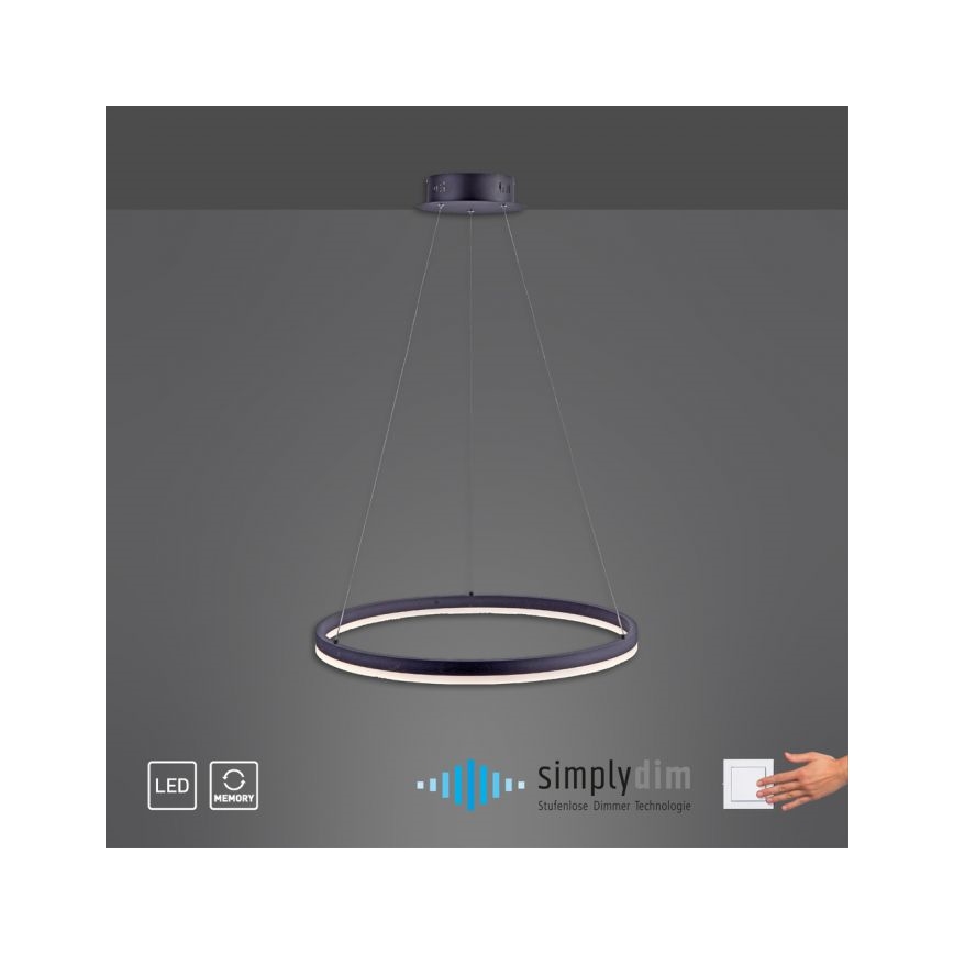 Paul Neuhaus 2382-13 - LED Reguliuojamas pakabinamas sietynas TITUS LED/38,5W/230V