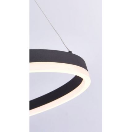 Paul Neuhaus 2382-13 - LED Reguliuojamas pakabinamas sietynas TITUS LED/38,5W/230V