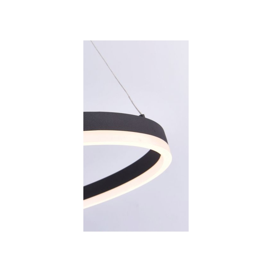 Paul Neuhaus 2382-13 - LED Reguliuojamas pakabinamas sietynas TITUS LED/38,5W/230V