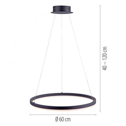 Paul Neuhaus 2382-13 - LED Reguliuojamas pakabinamas sietynas TITUS LED/38,5W/230V
