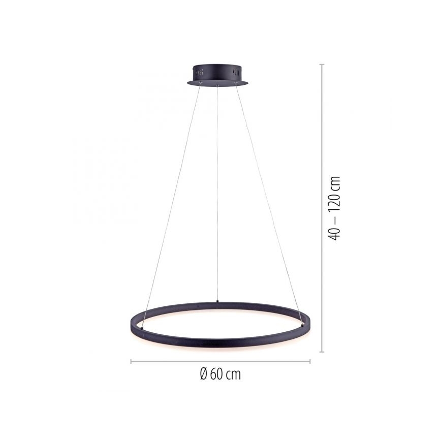 Paul Neuhaus 2382-13 - LED Reguliuojamas pakabinamas sietynas TITUS LED/38,5W/230V