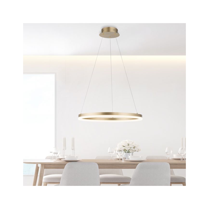 Paul Neuhaus 2382-60 - LED Reguliuojamas pakabinamas sietynas TITUS LED/38,5W/230V