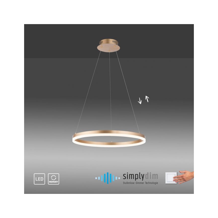 Paul Neuhaus 2382-60 - LED Reguliuojamas pakabinamas sietynas TITUS LED/38,5W/230V