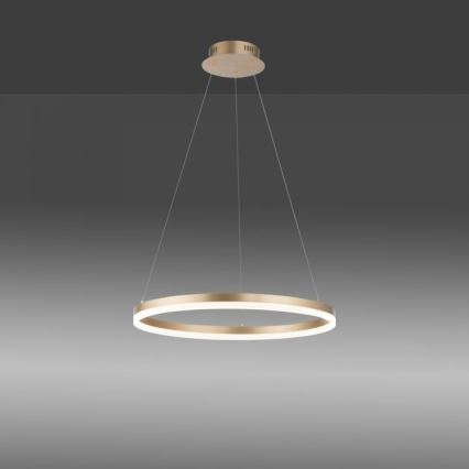 Paul Neuhaus 2382-60 - LED Reguliuojamas pakabinamas sietynas TITUS LED/38,5W/230V