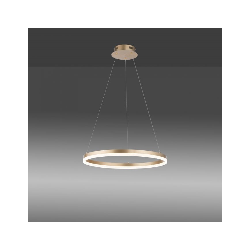 Paul Neuhaus 2382-60 - LED Reguliuojamas pakabinamas sietynas TITUS LED/38,5W/230V