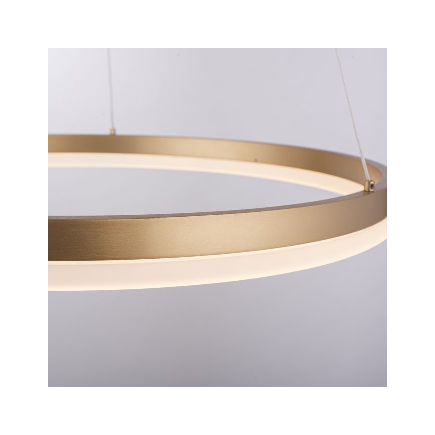 Paul Neuhaus 2382-60 - LED Reguliuojamas pakabinamas sietynas TITUS LED/38,5W/230V