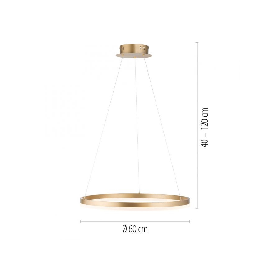 Paul Neuhaus 2382-60 - LED Reguliuojamas pakabinamas sietynas TITUS LED/38,5W/230V